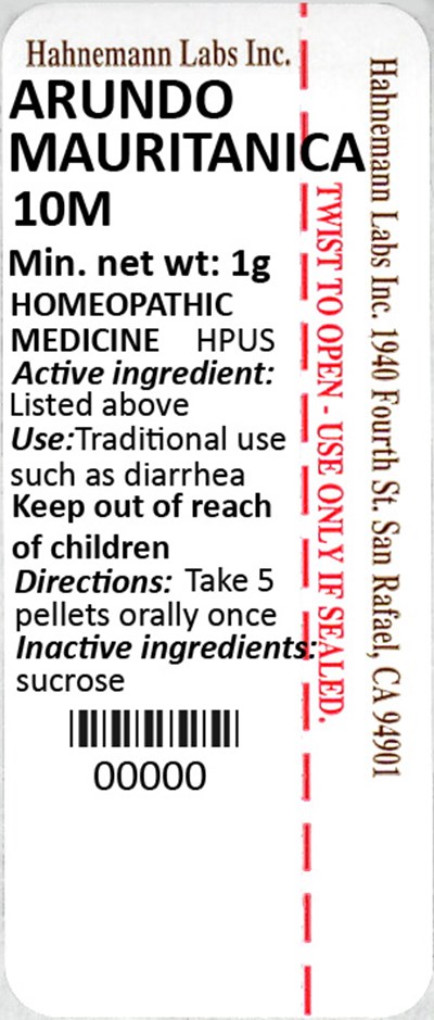Arundo Mauritanica 10M 1g.jpg Arundo Mauritanica 10M 1g - Arundo Mauritanica 10M 1g